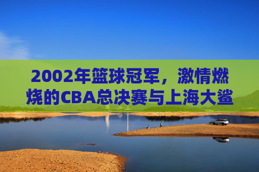 2002年篮球冠军，激情燃烧的CBA总决赛与上海大鲨鱼队的历史性夺冠