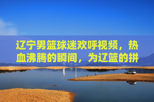 辽宁男篮球迷欢呼视频,热血沸腾的瞬间,为辽篮的拼搏与荣耀而呐喊