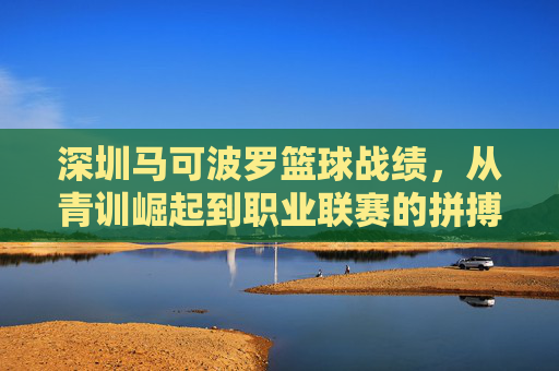 深圳马可波罗篮球战绩，从青训崛起到职业联赛的拼搏与辉煌，深圳马可波罗篮球，从青训崛起到职业联赛的拼搏与辉煌