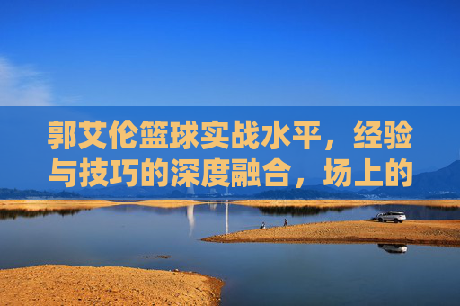 郭艾伦篮球实战水平，经验与技巧的深度融合，场上的核心驱动力量，郭艾伦，篮球实战中经验与技巧的深度融合，场上的核心驱动力量
