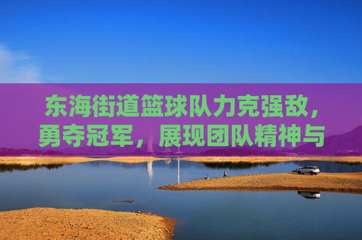 东海街道篮球队力克强敌，勇夺冠军，展现团队精神与社区活力，东海街道篮球队力克强敌勇夺冠军 展现团队精神与社区活力