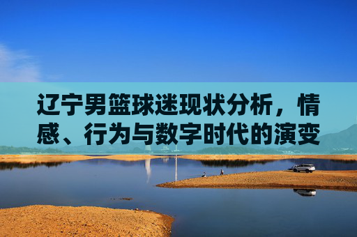辽宁男篮球迷现状分析，情感、行为与数字时代的演变，辽宁男篮球迷现状分析，情感、行为与数字时代的演变