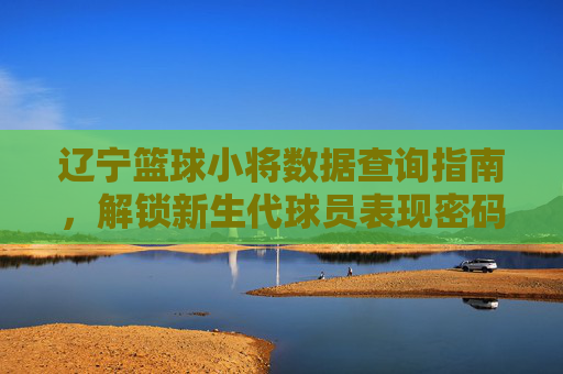 辽宁篮球小将数据查询指南,解锁新生代球员表现密码,辽宁篮球小将数据查询指南,解锁新生代球员表现密码