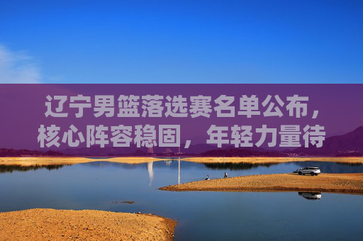 辽宁男篮落选赛名单公布,核心阵容稳固,年轻力量待激活——备战全运会与CBA联赛双线布局
