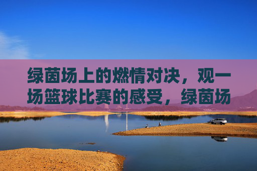 绿茵场上的燃情对决,观一场篮球比赛的感受,绿茵场上的燃情篮球对决,观一场比赛的感受