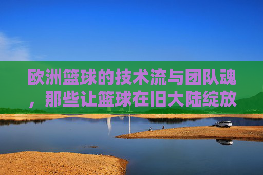 欧洲篮球的技术流与团队魂,那些让篮球在旧大陆绽放异彩的人,欧洲篮球的技术流与团队魂,那些让篮球在旧大陆绽放异彩的人