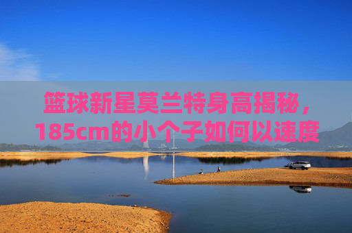 篮球新星莫兰特身高揭秘,185cm的小个子如何以速度与技巧征服赛场?