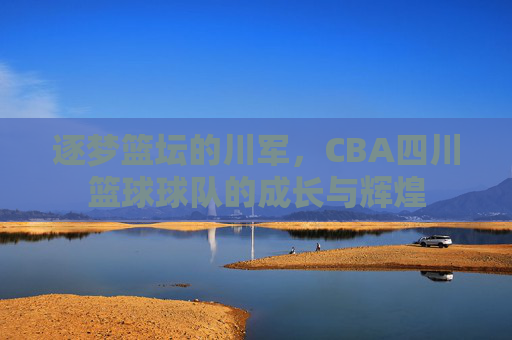 逐梦篮坛的川军,CBA四川篮球球队的成长与辉煌