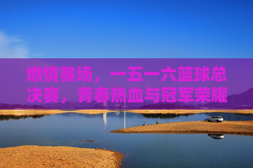 燃情赛场，一五一六篮球总决赛，青春热血与冠军荣耀的终极对决