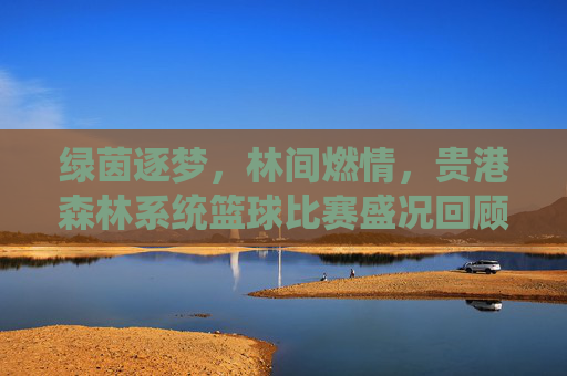 绿茵逐梦,林间燃情,贵港森林系统篮球比赛盛况回顾