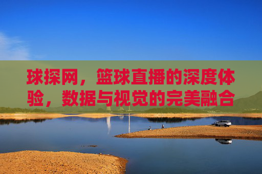 球探网，篮球直播的深度体验，数据与视觉的完美融合——从赛事覆盖到互动体验的全方位解析，球探网，篮球直播的深度体验，数据与视觉的完美融合——从赛事覆盖到互动体验的全方位解析