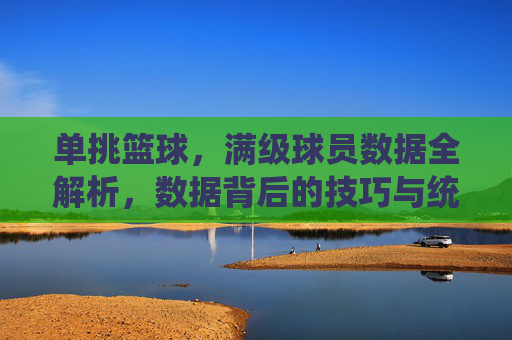 单挑篮球,满级球员数据全解析,数据背后的技巧与统治力巅峰,单挑篮球满级球员数据全解析,技巧与统治力巅峰