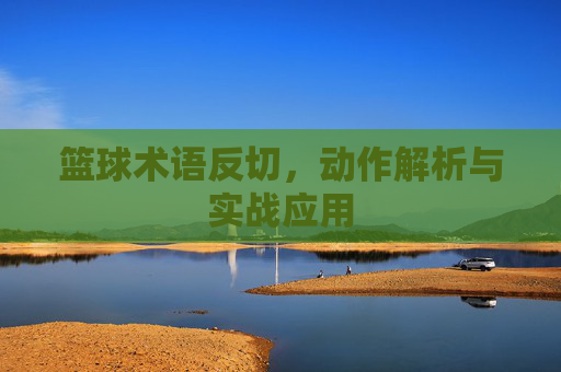 篮球术语反切,动作解析与实战应用