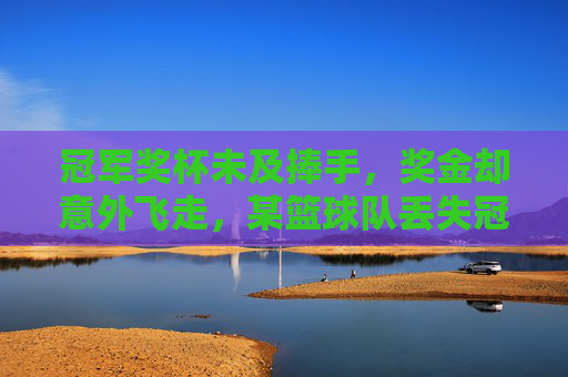 冠军奖杯未及捧手,奖金却意外飞走,某篮球队丢失冠军奖金的遗憾与反思,冠军奖杯未及捧手,奖金意外飞走,某篮球队丢失冠军奖金的遗憾与反思