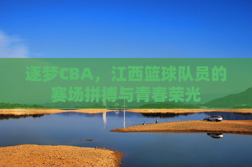 逐梦CBA,江西篮球队员的赛场拼搏与青春荣光