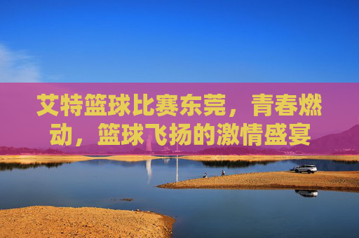艾特篮球比赛东莞,青春燃动,篮球飞扬的激情盛宴