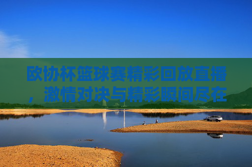 欧协杯篮球赛精彩回放直播，激情对决与精彩瞬间尽在眼前