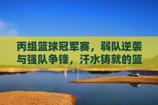 丙组篮球冠军赛,弱队逆袭与强队争锋,汗水铸就的篮球荣光