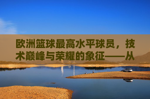 欧洲篮球最高水平球员,技术巅峰与荣耀的象征——从东契奇到诺维茨基的欧洲篮球巅峰代表