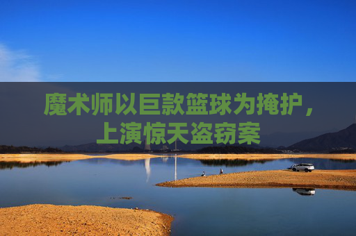 魔术师以巨款篮球为掩护,上演惊天盗窃案
