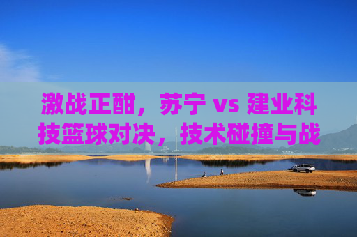激战正酣,苏宁 vs 建业科技篮球对决,技术碰撞与战术博弈的精彩演绎,激战正酣,苏宁 vs 建业科技篮球对决,技术碰撞与战术博弈的精彩演绎