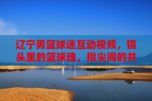 辽宁男篮球迷互动视频，镜头里的篮球魂，指尖间的共鸣声，辽宁男篮球迷互动视频，镜头里的篮球魂，指尖间的共鸣声