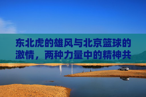 东北虎的雄风与北京篮球的激情,两种力量中的精神共鸣