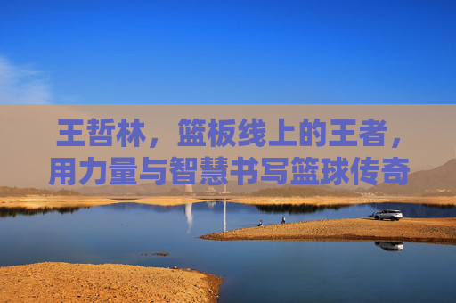 王哲林，篮板线上的王者，用力量与智慧书写篮球传奇——论其统治级篮板能力对球队的影响与个人成长
