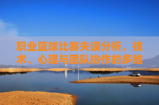 职业篮球比赛失误分析，技术、心理与团队协作的多维度解构，职业篮球比赛失误的多维解构，技术、心理与团队协作的剖析