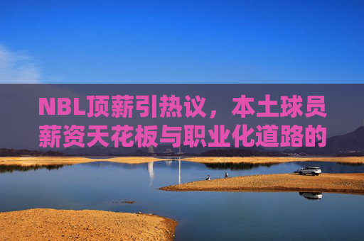 NBL顶薪引热议，本土球员薪资天花板与职业化道路的探索