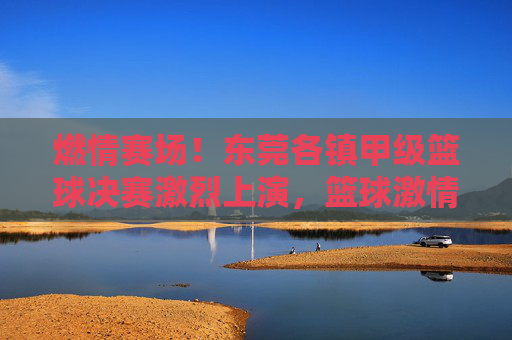 燃情赛场！东莞各镇甲级篮球决赛激烈上演，篮球激情点燃社区活力