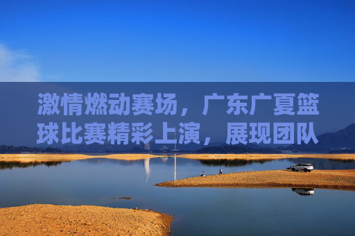 激情燃动赛场,广东广夏篮球比赛精彩上演,展现团队风采与竞技魅力