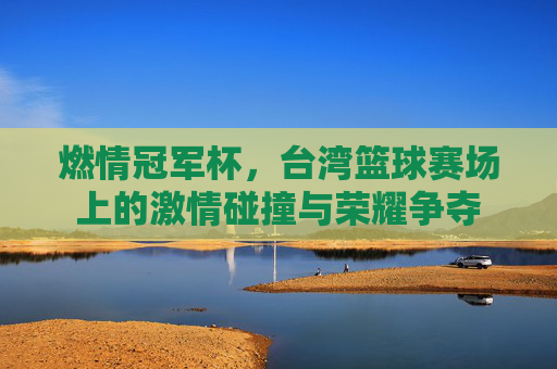 燃情冠军杯,台湾篮球赛场上的激情碰撞与荣耀争夺