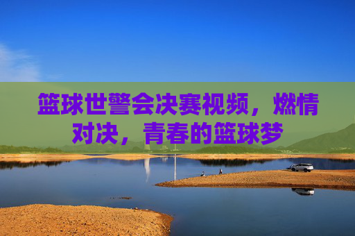 篮球世警会决赛视频，燃情对决，青春的篮球梦