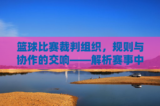 篮球比赛裁判组织,规则与协作的交响——解析赛事中的权威与秩序
