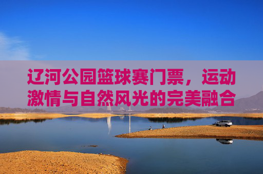 辽河公园篮球赛门票，运动激情与自然风光的完美融合，邀你共赴健康盛宴