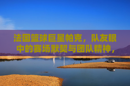法国篮球巨星帕克，队友眼中的赛场默契与团队精神，法国篮球巨星帕克，队友眼中的赛场默契与团队精神