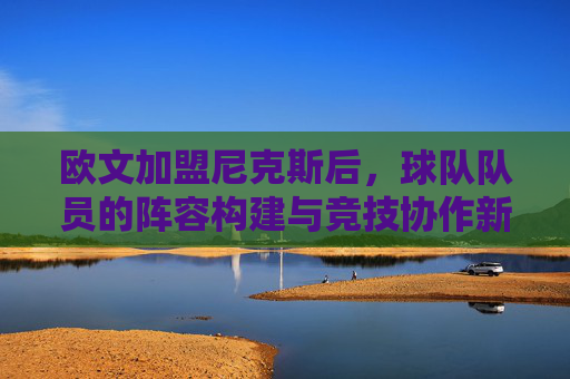 欧文加盟尼克斯后，球队队员的阵容构建与竞技协作新篇章，欧文加盟尼克斯后，球队队员的阵容构建与竞技协作新篇章