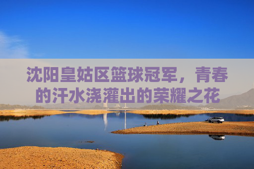 沈阳皇姑区篮球冠军,青春的汗水浇灌出的荣耀之花