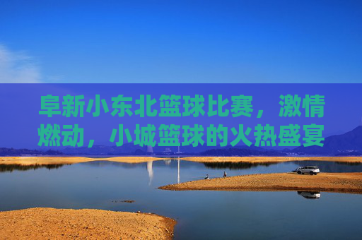 阜新小东北篮球比赛，激情燃动，小城篮球的火热盛宴，阜新小东北篮球比赛，激情燃动，小城篮球的火热盛宴