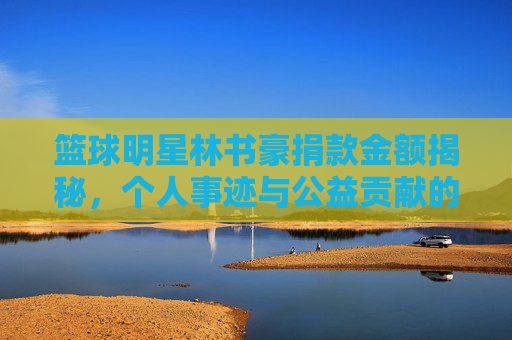 篮球明星林书豪捐款金额揭秘，个人事迹与公益贡献的深度解析