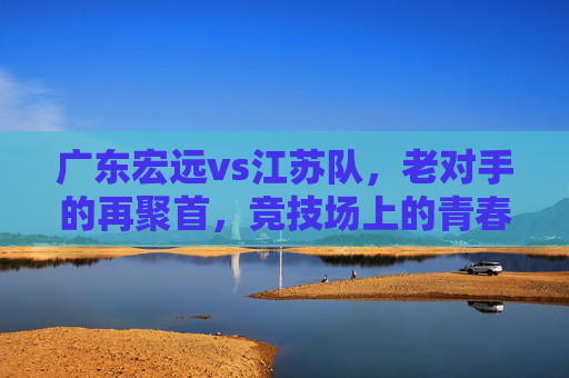 广东宏远vs江苏队,老对手的再聚首,竞技场上的青春碰撞与经验沉淀