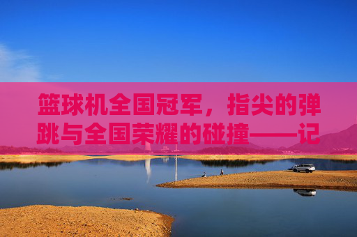 篮球机全国冠军，指尖的弹跳与全国荣耀的碰撞——记某位选手的篮球机弹跳之路