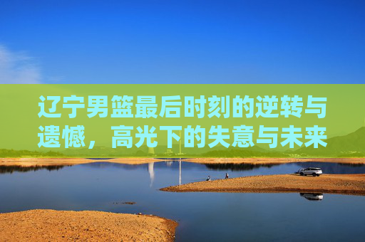 辽宁男篮最后时刻的逆转与遗憾,高光下的失意与未来展望
