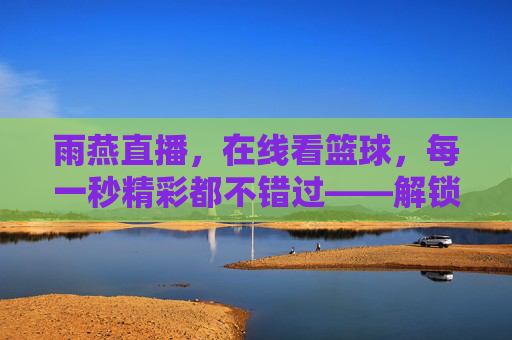 雨燕直播,在线看篮球,每一秒精彩都不错过——解锁赛事直播新体验