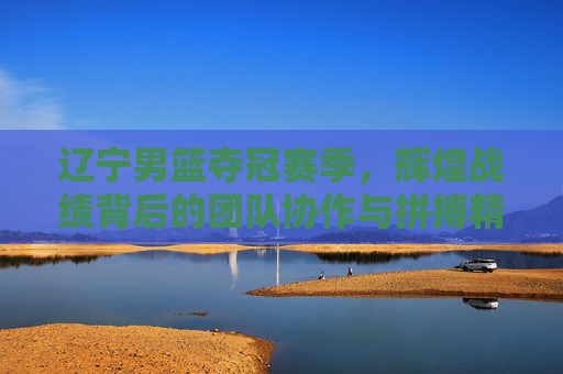 辽宁男篮夺冠赛季,辉煌战绩背后的团队协作与拼搏精神——2023-2024赛季赛季成绩全解析