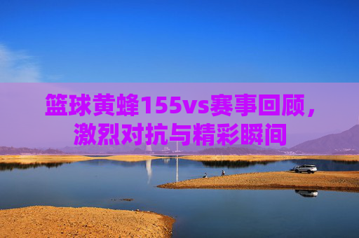 篮球黄蜂155vs赛事回顾，激烈对抗与精彩瞬间