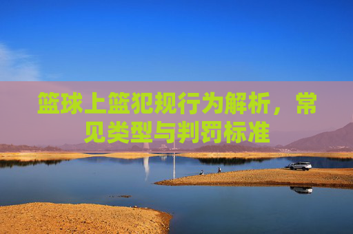 篮球上篮犯规行为解析，常见类型与判罚标准