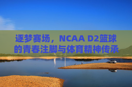 逐梦赛场，NCAA D2篮球的青春注脚与体育精神传承，逐梦赛场，NCAA D2篮球的青春注脚与体育精神传承