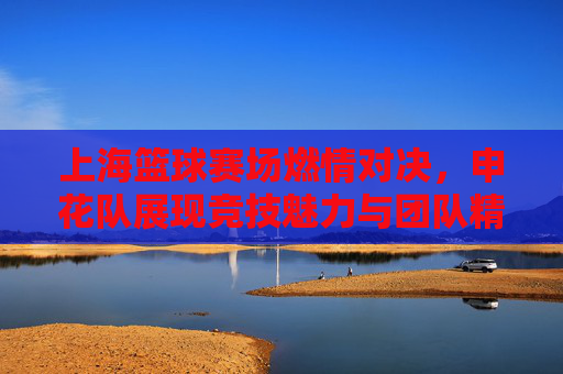 上海篮球赛场燃情对决,申花队展现竞技魅力与团队精神